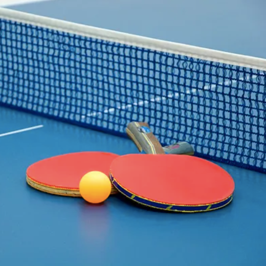 Tennis de Table Olympique - Raquettes, Filet